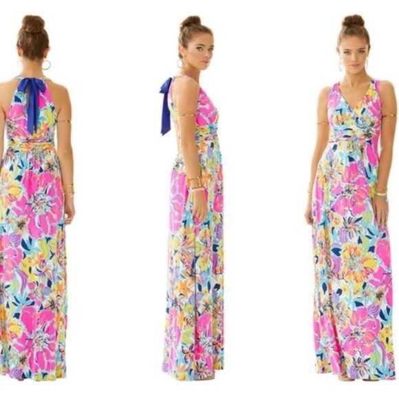 Lilly Pulitzer Amanda Besame Mucho Pink Blue Floral Maxi Dress Size XL - Picture 3 of 15